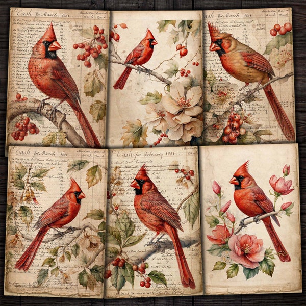 Cardinal Birds Printable Ephemera Ledger Pages for Junk Journals, Scrapbook, Mixed media crafts, Digital download