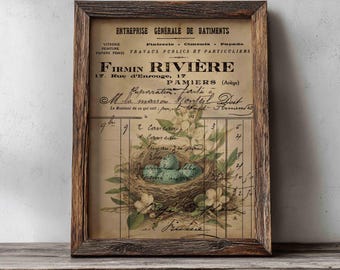 Antique Robin Bird Nest Easter Print: Vintage French Ephemera Wall Art (Digital Download)