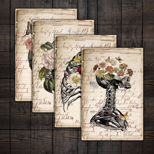 Antique Human Anatomy Ledgers with Flowers, Skull, Brain, Heart, Lungs, Printable Medical Ephemera