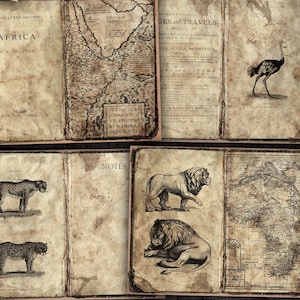 Pagine digitali del diario spazzatura Safari africano, kit stampabile per diari, album di ritagli, creazioni con la carta, download PDF