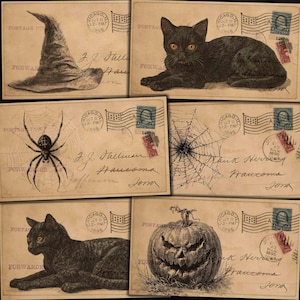 Puede incluir: Un collage de postales de Halloween de estilo vintage. Las postales presentan ilustraciones de un sombrero de bruja, gatos negros, arañas, telarañas y una calabaza tallada. Cada tarjeta tiene un sello postal y una marca postal.