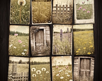 Wildflower Grunge Photo Set: Rustic Spring Images (Digital Kit)