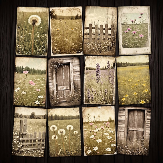 Wildflower Grunge Photo Set: Rustic Spring Images (Digital Kit)