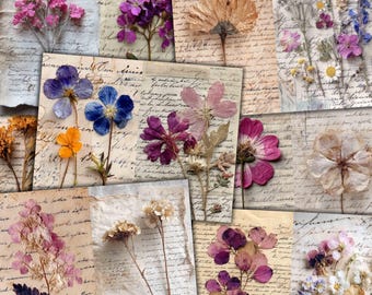 Pressed Flowers Digital Pages, Junk Journal Ephemera (Digital Download)