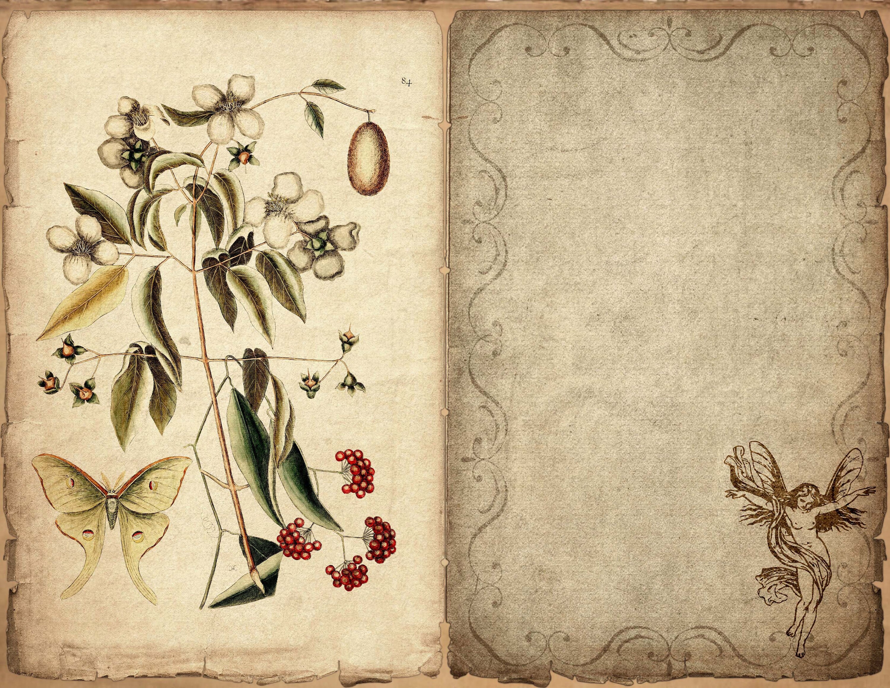 Printable Fairies Junk Journal Kit, Digital Fairy Garden Pages for ...