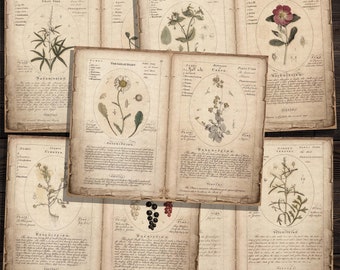 Digital Wildflowers and Herbs Botanical Pages, Printable Herb Ephemera for Junk Journals, Scrapbooks, Paper Crafts