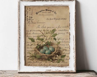 Antique Robin Bird Nest Easter Print: Vintage Ephemera Wall Art (Digital Download)
