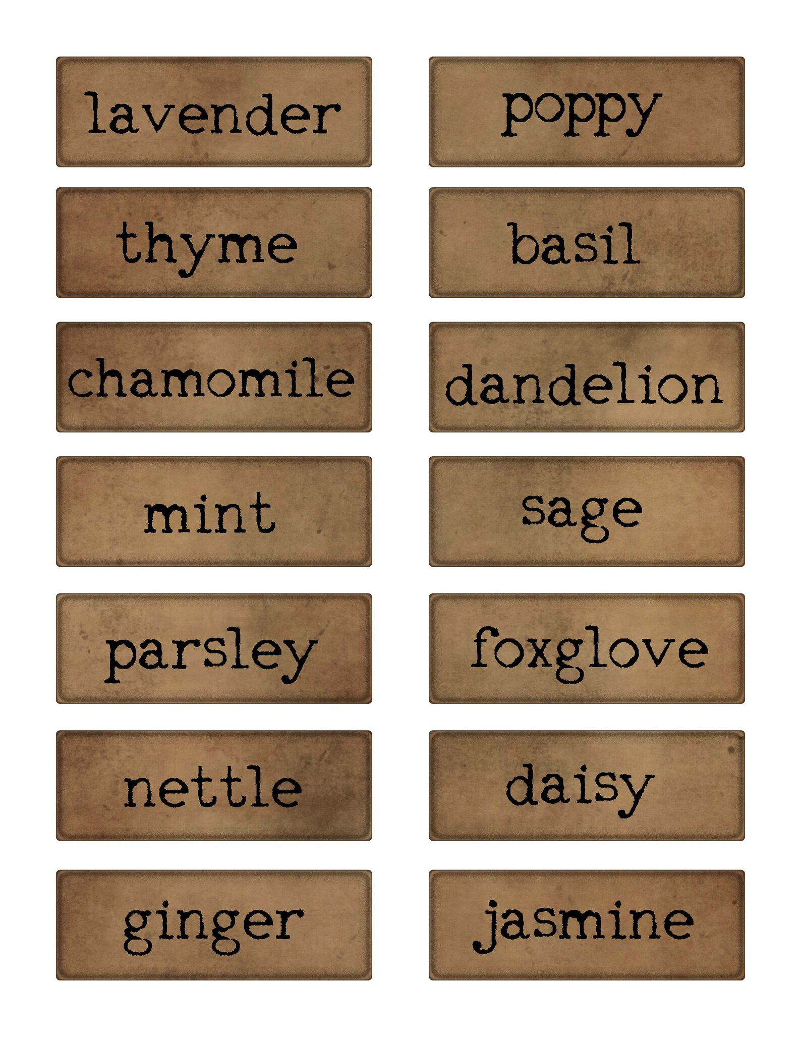 Junk Journal Printable Herb Words Names of Herbs for Garden Etsy