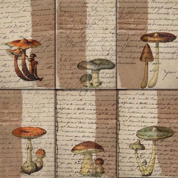Junk Journal Mushroom Digital Pages Printable Mushrooms - Etsy