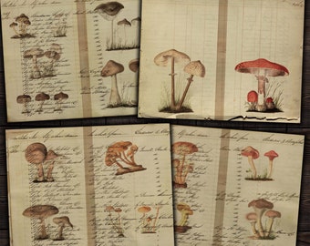Junk Journal Vintage Mushroom Pages, Vintage Botanical Ephemera for Journals, Scrapbooks, Paper Crafts