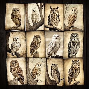 Eulen Vintage Fotografie Collage Sheet Bilder für Junk Journals Mixed Media Art Journaling Papierhandwerk, Digitaler Kit-Download