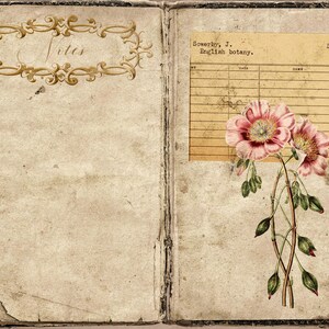 Digital Antique Botanical Pages, Printable Kit for Junk Journals ...