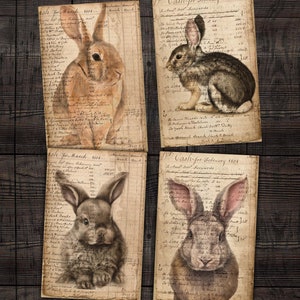 Vintage Kaninchen-Ledger Seiten, Grunge-Dokument mit Kaninchen Ephemera für Junk Journals, Scrapbooks, Mixed Media Collage Crafts