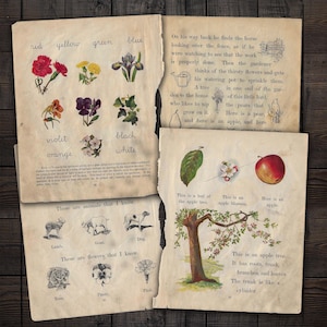 Antike Kinderbücher Ephemera für Junk Journal, Scrapbooks, Mixed Media Paper Crafts, digitaler Download