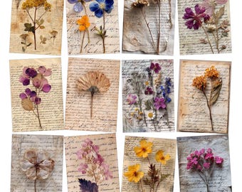 Dried Flowers Ephemera Printable ATC for Junk Journals, Collage, Paper crafts (Digital Download)