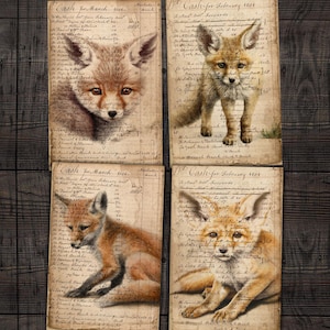 Páginas de libro de contabilidad de zorros vintage, documentos grunge con crías de zorro, efímeras para diarios basura, álbumes de recortes y manualidades con collage de técnica mixta.