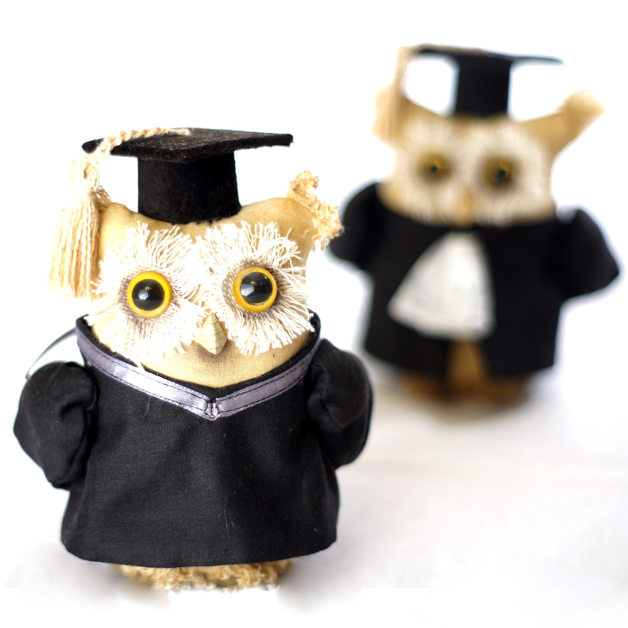 Коллекционер дом совы арт. Совы статуэтки коллекция. Коллекционер совиный дом. Коллектор совиный дом. Эмити совы.