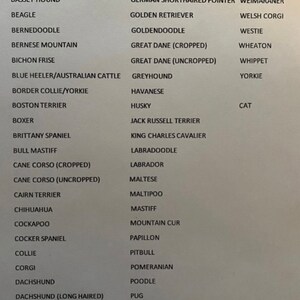 May include: A list of dog breeds, including Akita, American Bully, Australian Shepherd, Basset Hound, Beagle, Bernedoodle, and more.