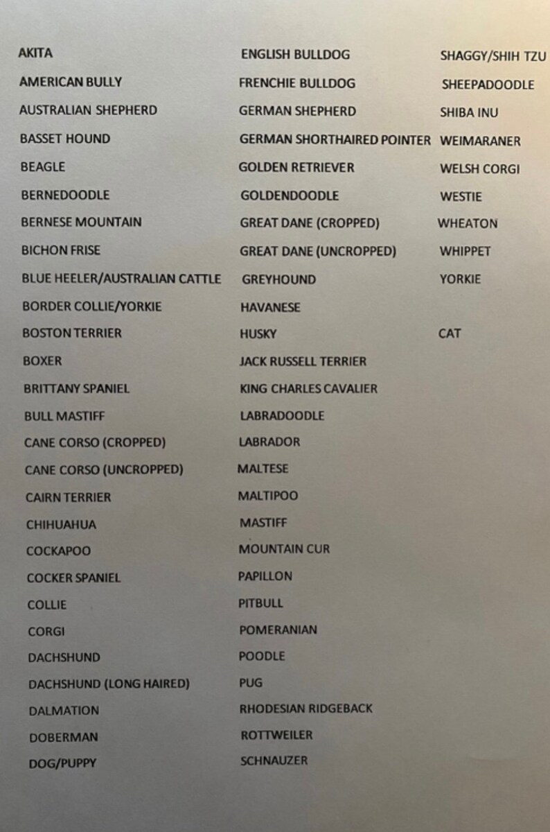 May include: A list of dog breeds, including Akita, American Bully, Australian Shepherd, Basset Hound, Beagle, Bernedoodle, and more.