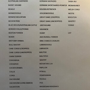 May include: A list of dog breeds, including Akita, American Bully, Australian Shepherd, Basset Hound, Beagle, Bernedoodle, and more.