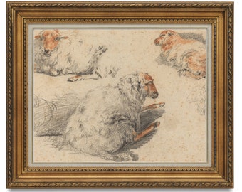Sheep Painting, Vintage Sheep Print, Vintage Sketch, Farmhouse Wall Decor, Digital Download, Printable Art