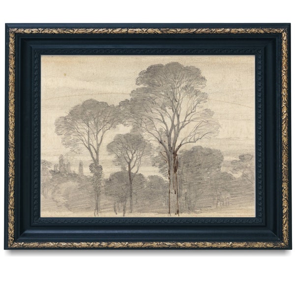 Tree Sketch Drawing Print, Vintage Trees Forest Landscape, Digital Landscape Sketch