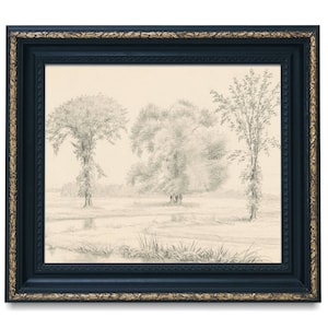 Printable antique tree sketch, Digital black and white art print, Vintage tree drawing