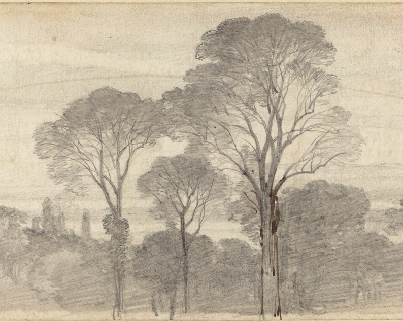 Tree Sketch Drawing Print, Vintage Trees Forest Landscape, Digital Landscape Sketch image 2