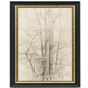 Vintage tree sketch, Vintage drawing, Vintage tree art, Tree sketch print, Tree sketch download, Vintage art, Printable art
