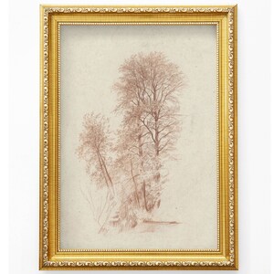 Vintage tree sketch print, black and white art, Antique tree drawing digital download, Printable art