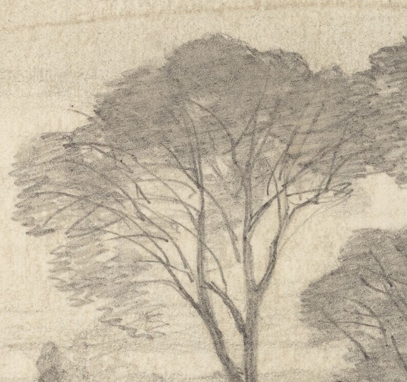 Tree Sketch Drawing Print, Vintage Trees Forest Landscape, Digital Landscape Sketch image 3