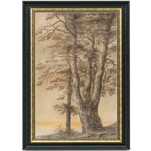 Vintage Tree Sketch Print: Black and White Drawing (Digital Download)
