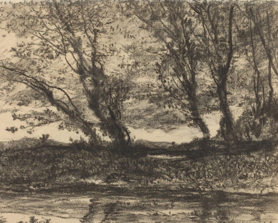 Vintage Tree Sketch Digital Black And White Print Etsy Ireland