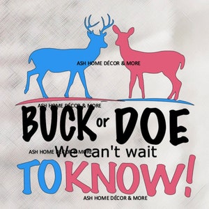 Puede incluir: Un gráfico de anuncio de revelación de género con un ciervo azul y una cierva rosa. El texto dice "Buck or Doe We can't wait to know!"