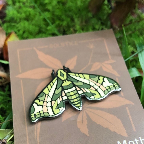 Pandora Sphinx Moth Pin