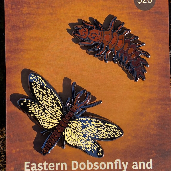 Eastern Dobsonfly and Hellgrammite Pin Set