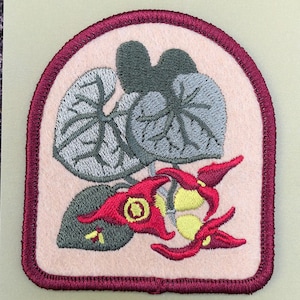 May include: A beige iron-on patch with an embroidered image of a Canada Wild Ginger plant. The patch has a burgundy border and the text "CANADA WILD GINGER" and "Spring Wildflower Iron-On Patch" in black.