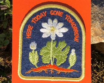 Blutwurzel Aufnäher