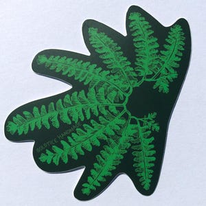 Sticker fougère vierge