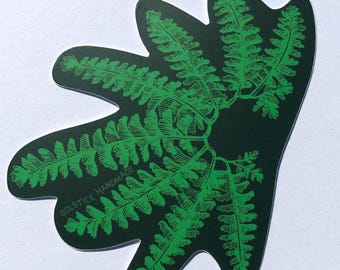 Naklejka z paprocią adiantum