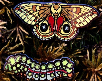 Io Moth Pin Set