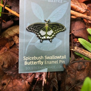 Swallowtail Butterfly Pin