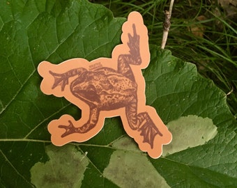 Wood Frog Sticker