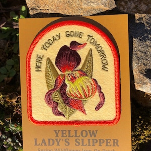 May include: A yellow lady's slipper wildflower iron-on patch with a red border and the text "Here today gone tomorrow".