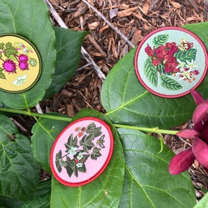 Thimbleberry Patch image 5