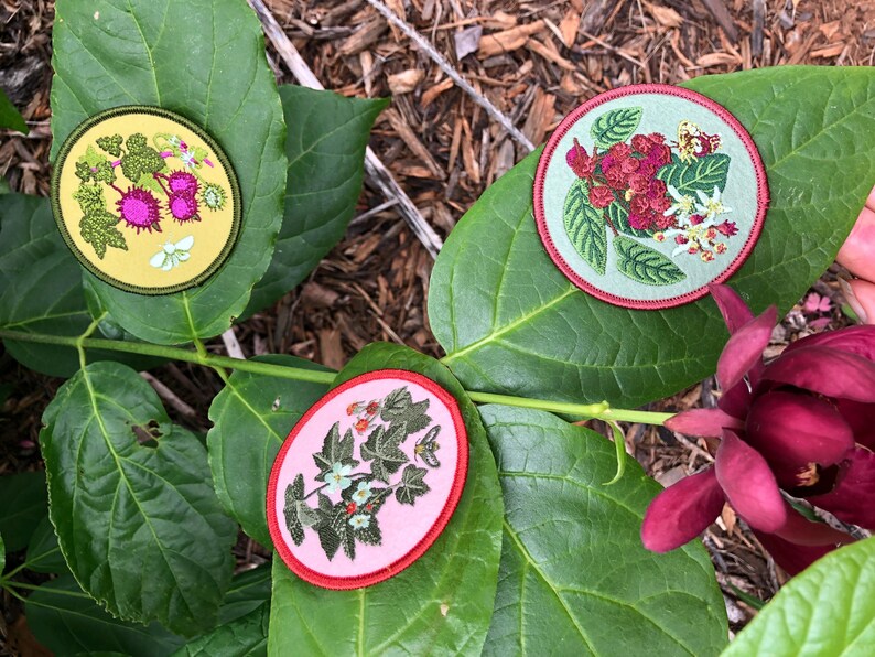 Thimbleberry Patch image 5