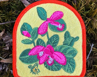 Fringed Polygala Patch