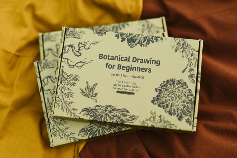 Beginner's Botanical Drawing Just Video image 4