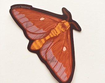 Orange Tipped Oakworm Moth Sticker