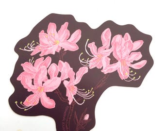 Pegatina de azalea Pinkshell